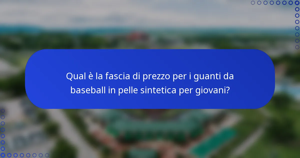 Qual è la fascia di prezzo per i guanti da baseball in pelle sintetica per giovani?